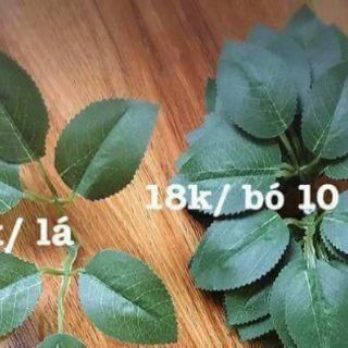 Combo giấy gói và hoa khô