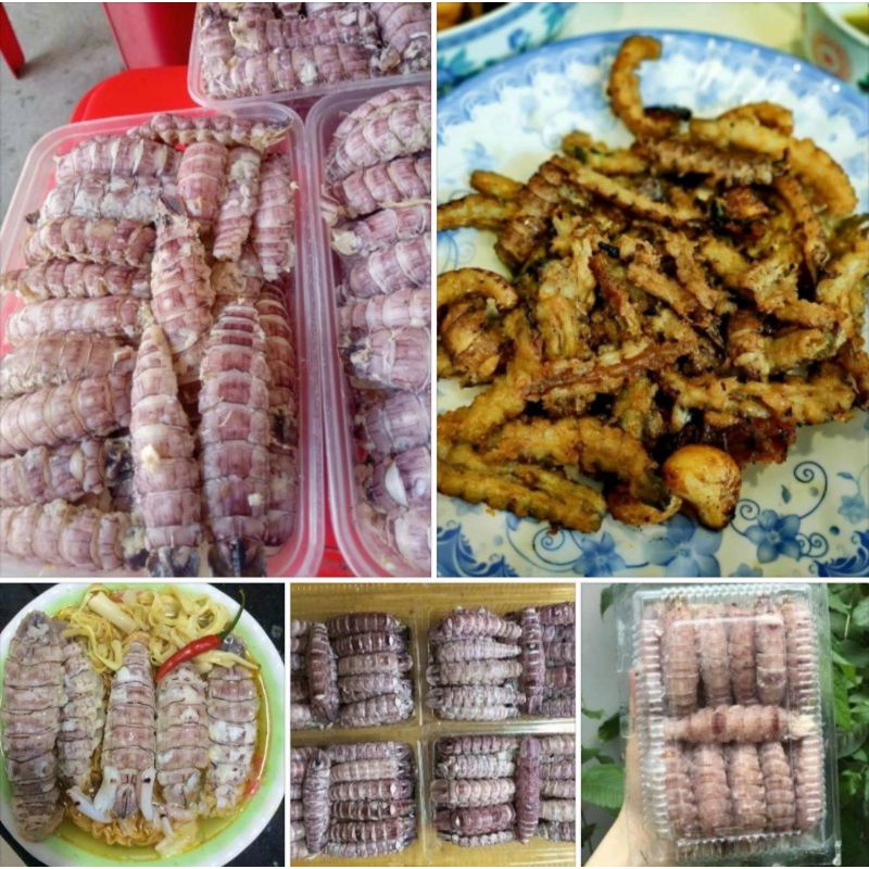 Thịt tôm tít. Hộp 500g‼️