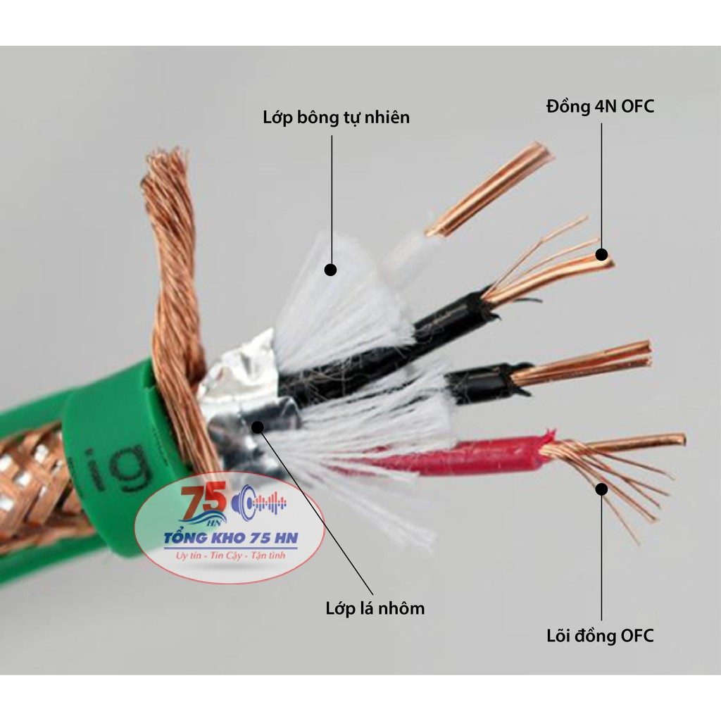 Cặp dây tín hiệu âm thanh Aucharm RCA cao cấp dài 1m và 3m