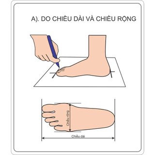 Giày nhựa Native xuất xịn