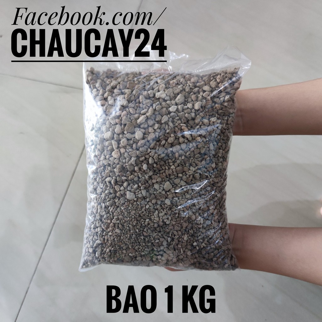 Đá pumice (đá nham thạch) để trộn đất trồng sen đá, xương rồng, lọc hồ thủy sinh bể cá