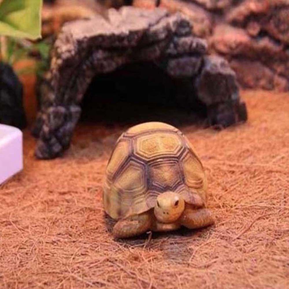 AUGUSTINA Thảm Sợi Dừa Tự Nhiên Lót Bể Nuôi Bò Sát Tiện Dụng