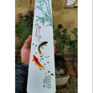 Hộp đựng phao câu đài 3 ngăn