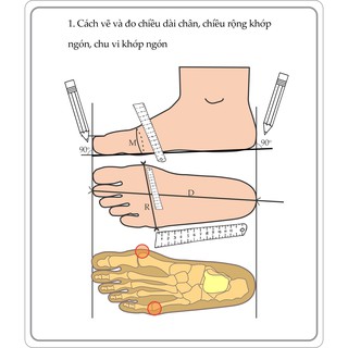 Giày Cao Gót Sablanca 5050BN0061