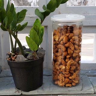 500gr hạt điều rang muối ớt