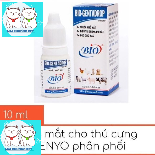 Nhỏ mắt Bio Gent-Drop 10ml điều trị xử lý chứng đau mắt đỏ,chảy nước mắt chó mèo