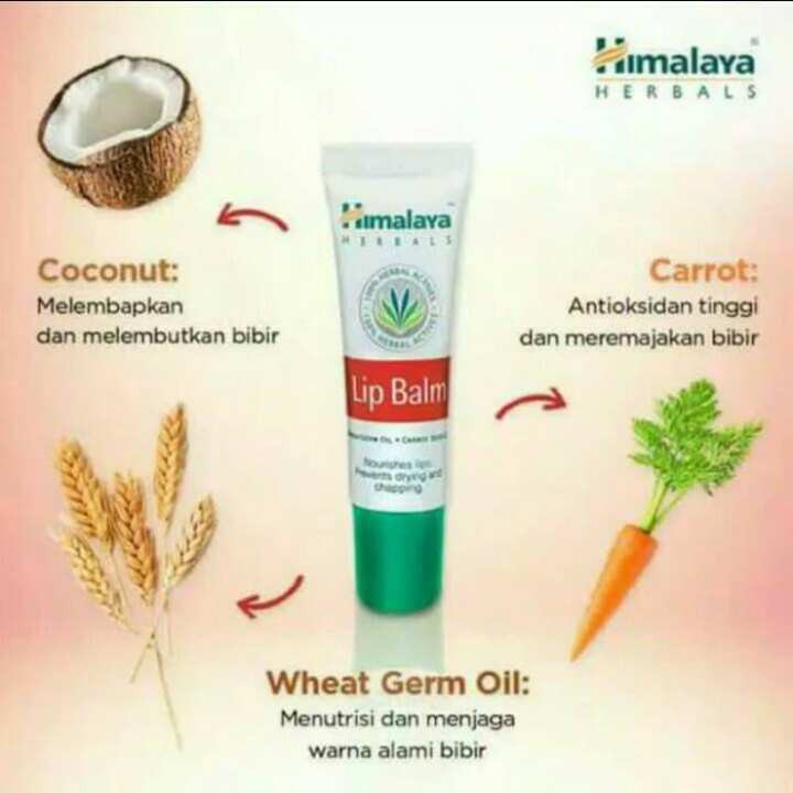 (hàng Mới Về) Son Dưỡng Môi Himalaya | BigBuy360 - bigbuy360.vn