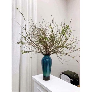 [BÁN LẺ] LỌ HOA DÁNG CAO CẮM TUYẾT MAI, HOA LOA KÈN, ... CAO 34cm TT013
