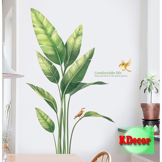 Decal dán tường lá chuối xanh