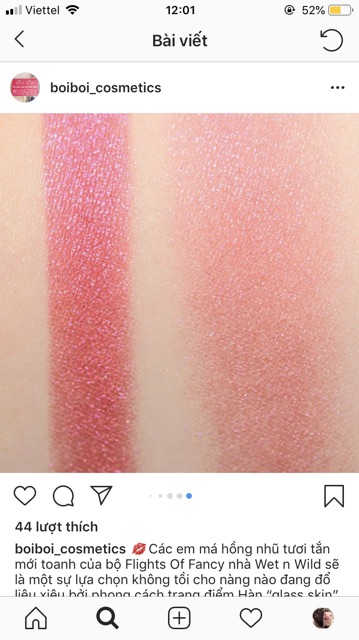 PHẤN MÁ WET N WILD COLOR ICON BAKED BLUSH
