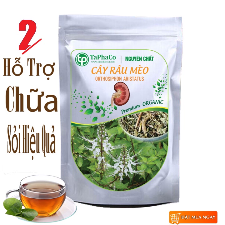 Cây râu mèo sấy khô , Trà cây râu mèo - Đánh bay sỏi thận, thanh nhiệt, lợi tiểu, ngừa gout