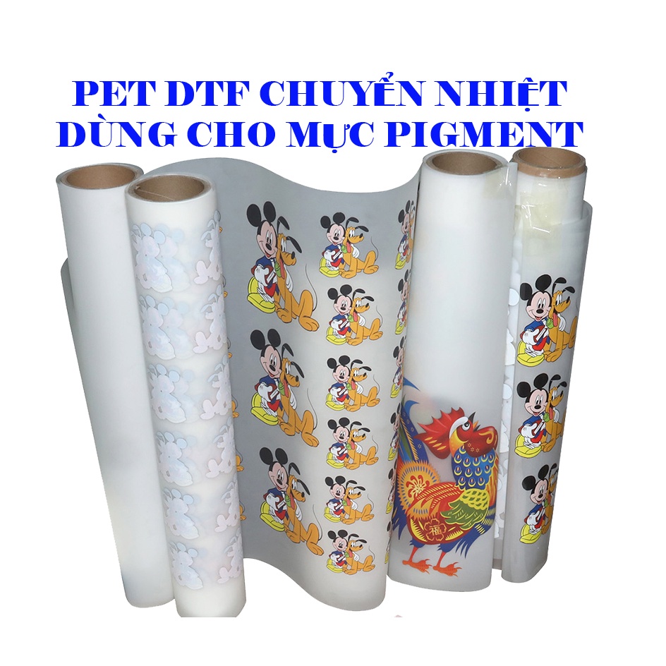 EPSON L805  IN ÁO TRÊN PET DTF