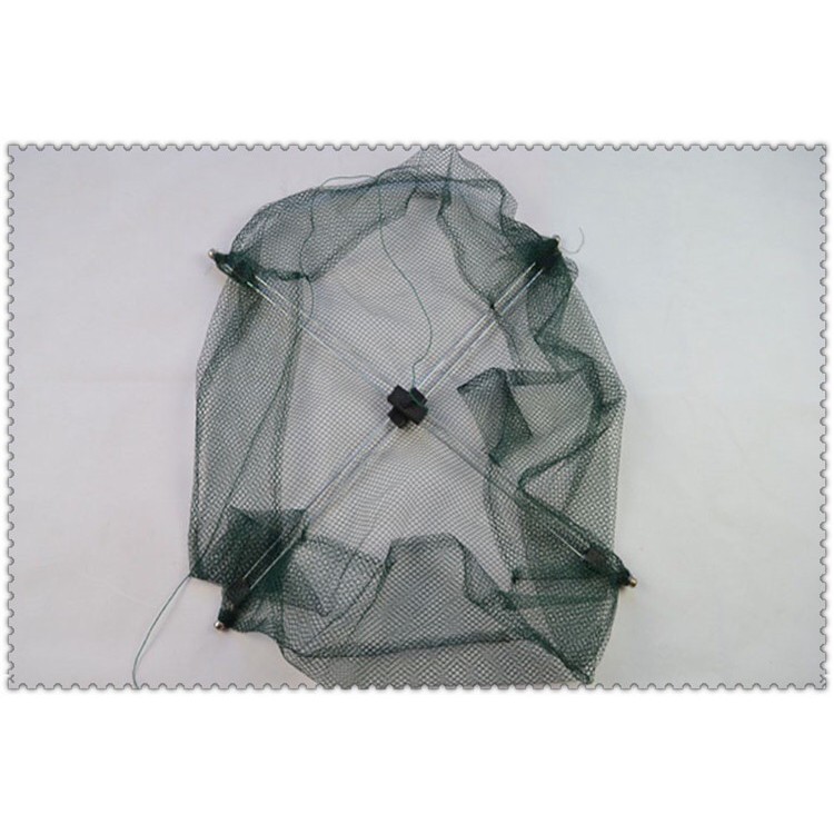 VÓ TÔM - Bắt TÔM - TÉP