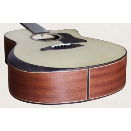 Acoustic Guitar Taylor Việt Nam D450 có EQ MET B12