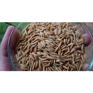 Gạo Tiến Vua 5Kg - Thái Dương