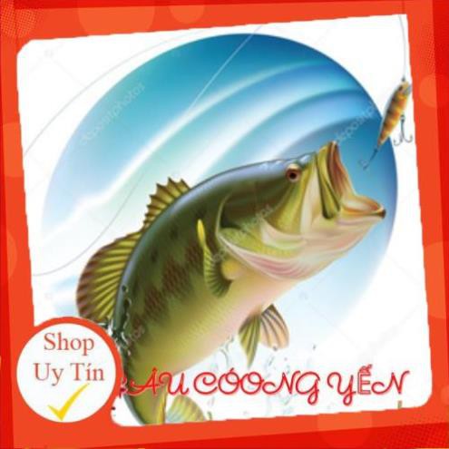 CƯỚC CÂU CÁ CƯỚC CÂU NHẬT BẢN FLUOCACBON TIAGAR ĐỦ SIZE
