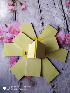 Compo 10 cuốn - Order 2 liên ko kẻ