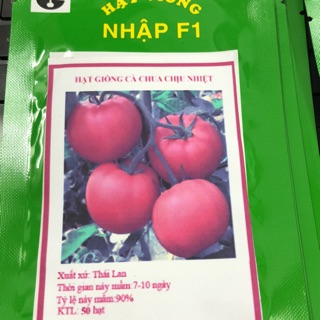 Hạt giống 🍅 Cà chua bi lùn đỏ / cà chua chịu nhiệt ☘️ 🍅