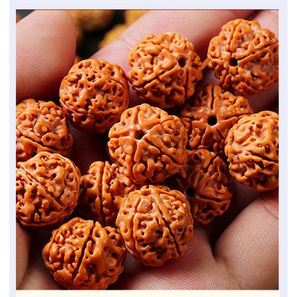 Hạt bồ đề - Bán lẻ từng hạt