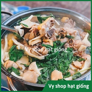 Hạt giống lá é trắng Thái Lan gói 600 hạt