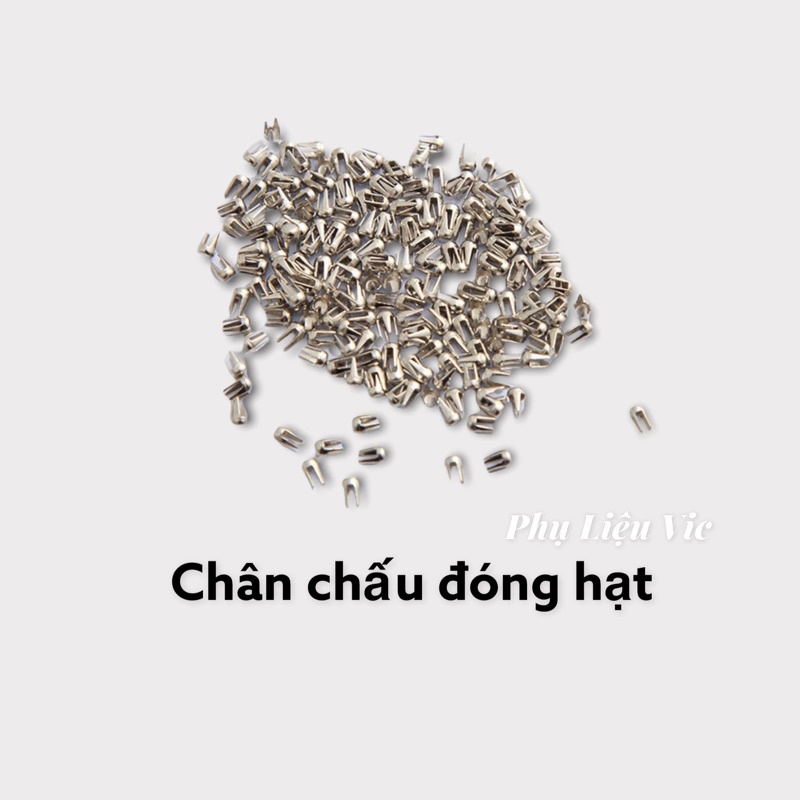 Chân chấu đóng hạt