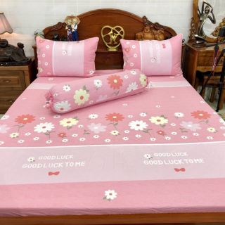 Drap cotton hàn quốc loại 1-  mẫu hoa nhí