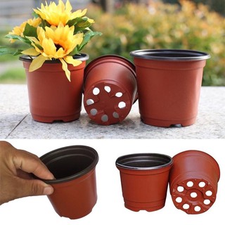 Combo 10 chậu nhựa trồng cây 9x8cm