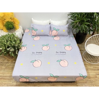 Bộ chăn ga gối Poly mẫu đào tím hothit