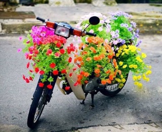 Nguyên liệu hoa giấy lụa cánh tròn
