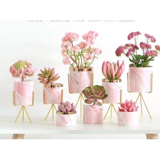 Bình hoa đế ba chân trang trí bàn ăn, phòng khách, kệ tủ, trồng cây cảnh thật hoặc cây giả