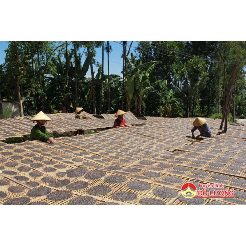 Bánh đa đô lượng 10 chiếc loại 1 siêu ngon