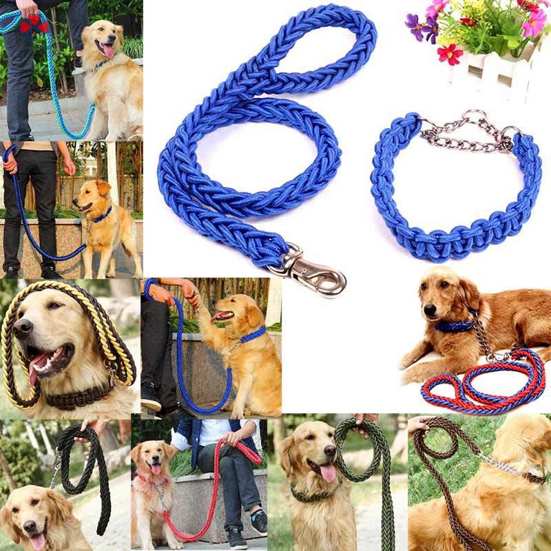 Dây Dắt Thú Cưng Đi Dạo Tiện Lợi