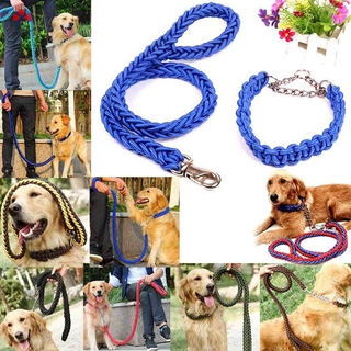 Dây dắt thú cưng đi dạo tiện lợi
