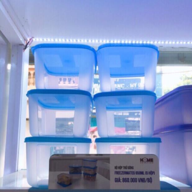 Tupperware - Bộ 6 hộp trữ đông Freezermate 650ml