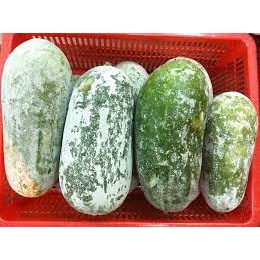 Bí xanh thơm  Đặc sản Sơn La - Thơm, ngon, bổ dưỡng