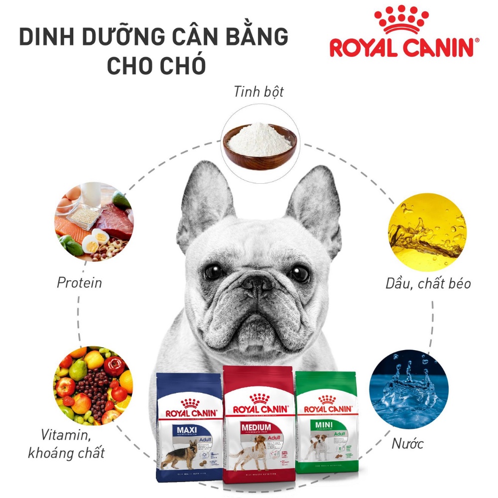 Thức ăn hạt cho chó Royal Canin Maxi Adult, túi 1Kg