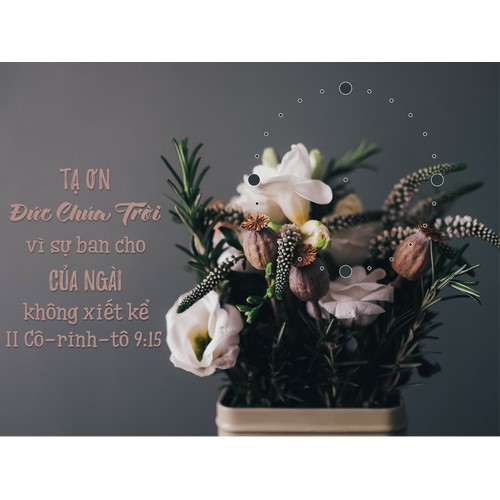 Đồng Hồ Lamina Tân Gia - Mẫu 4 - II Cô-rinh-tô 9:15