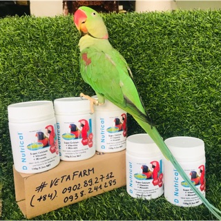 D’ Nutrical gói lẻ 20gr