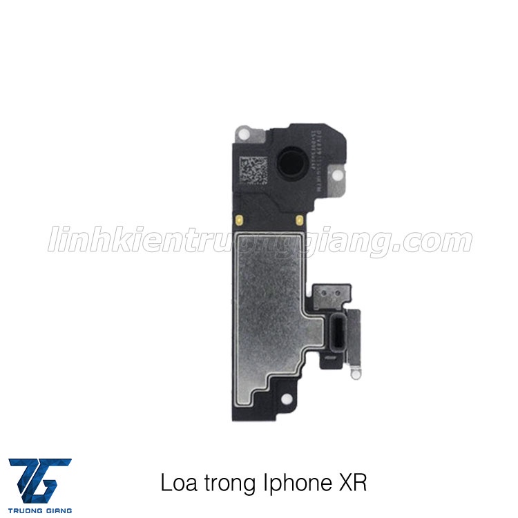 LOA TRONG IPXR (ZIN MÁY)