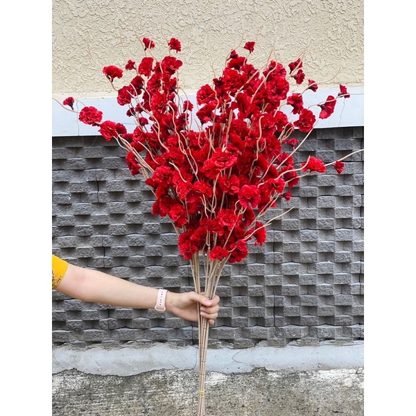 Cành hoa đào râu mẫu mới hàng Việt Nam