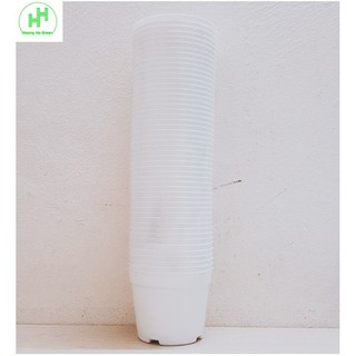 50 chậu nhựa trồng lan, cây cảnh mini fi 10cm - màu trắng - cốc ươm fi 10 màu trắng