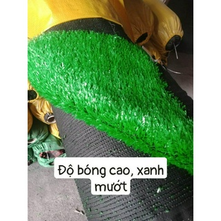 Thảm cỏ nhân tạo 1mv loại 1.5cm ship rẻ nhất