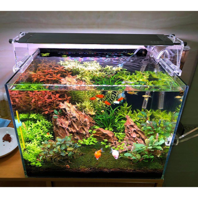 ĐÈN THỦY SINH Week Raptor WRGB - V300/ V450/V600