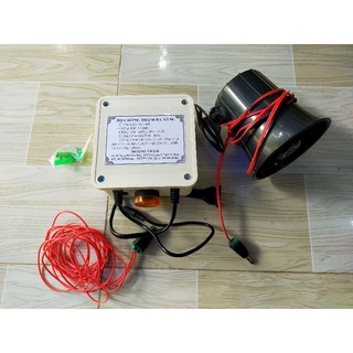 Chống trộm cây cảnh
