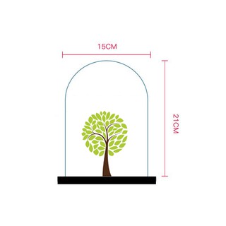 Bình thủy tinh terrarium tiểu cảnh 03