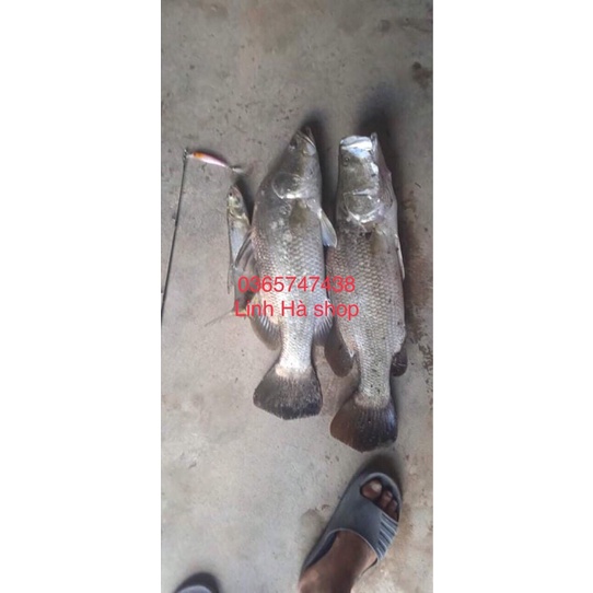 Mồi cá giả đuôi lông dài 9cm nặng 8cm câu chẽm,mú,ngão nhạy bén