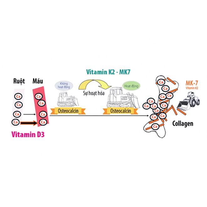 ✔️️️Combo Tăng chiều cao cho trẻ Dimao Vitamin D3 + Keovon Vitamin K2