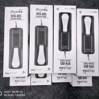 Pedal Đàn Organ / Piano Cherup WTB 005Chính Hãng
