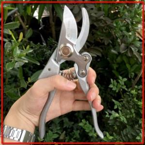 Kéo cắt cành cây. Kéo tỉa cây ăn quả cộng lực Japan Nhật Bản Sk5. Dụng cụ làm vườn ( tuyển khách sỉ)
