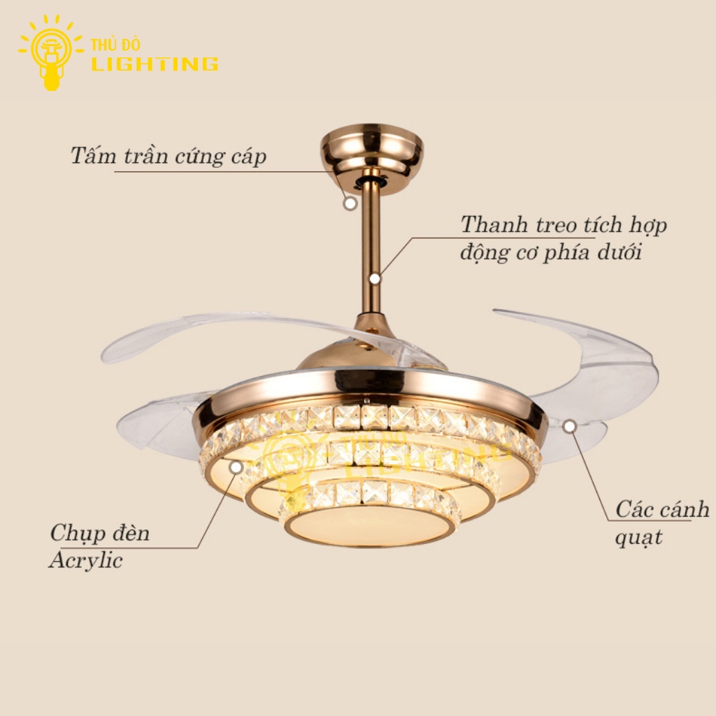 Quạt Trần Đèn Chùm Phòng Khách THỦ ĐÔ LIGHTING 3 Chế Độ Gió Và Ánh Sáng Điều Chính Từ Xa, Có Hẹn Giờ 872